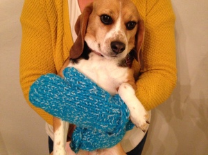 The Mermaid Mittens and my dog Olive.